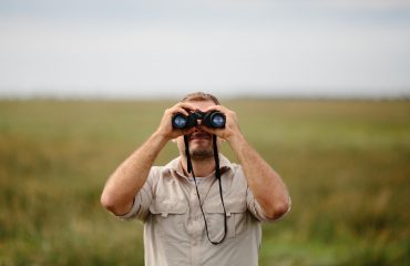 campaña-seo campaña-seo